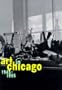 Art in Chicago: 1945-1995