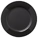 Nautica Arctic Night 11.25-Inch Dinner Plate