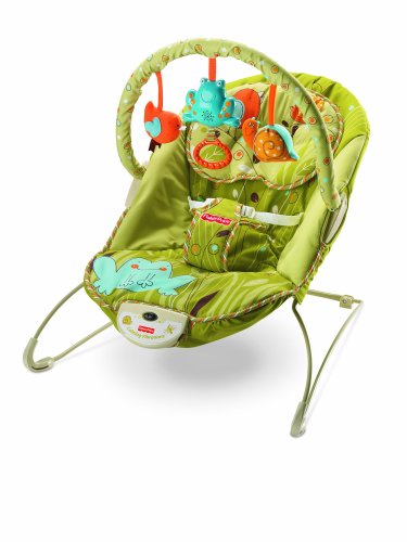 Fisher-Price Green Meadows Bouncer