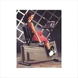 Life Fitness Lifecycle Recumbent Exercise Bike - Chain Driven (remanufactured)