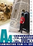 OHM 100ミクロンラミネーターフィルム100枚 A4 LAM-FA41003
