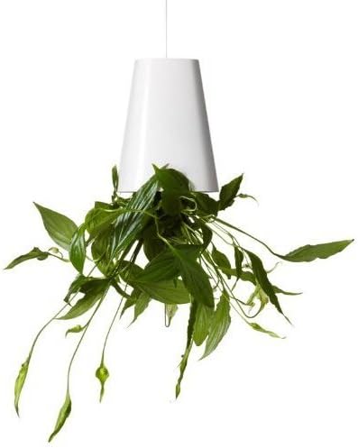 Sky Planter Pots Plastic Garden Pots Creative Air Pots Hanging Spider Plant Pots