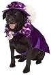 Rubies Costume Company Big Daddy Pimp Dog Costume - Small