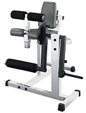 Leg Extension / Curl Machine