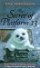 Secret of Platform 13 (Paperback)