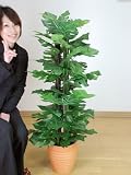 光触媒 観葉植物 スプリットフィロ 120cm