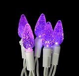 Review Vickerman  / Set of 70 Purple Commercial LED C6 Christmas Lights - White Wire