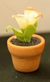 Miniature Artisan Clay Pot with Pink Calla Lillies