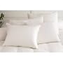 Gaiam Organic Wool and Cotton Bed Pillow (Standard size 30 oz. fill) by Gaiam