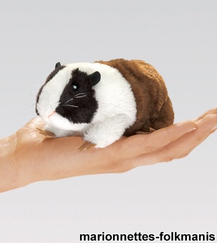 Childrens Toyshop  Toys : Mini Guinea Pig Finger Puppet by Folkmanis