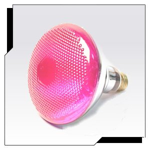 100BR38/PK 100 Watt 120 Light Bulb