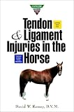 Concise Guide to Tendon and Ligament Injuries in the Horse (Howell Equestrian Library)