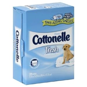Cottonelle Flushable Moist Wipes, 20 Each (Pack of Two)