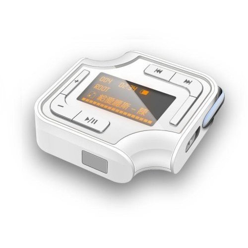 Childrens Toyshop  Electronics : TeckNet A228 1G 2 Colour OLED MP3 Player With Build-In FM (Silver) -Stock Clearance
