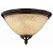 Hinkley Lighting 1253RB Exterior Ceiling - Regency Bronze San Mateo Outdoor Transitional Lights
