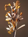 All Natural Handmade Zahabia Floral Arrangement