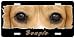   - Beagle 