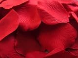 100 RED SILK QUALITY ROSE PETALS CONFETTI/WEDDING/VALENTINE