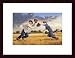 All Products : High Fly by Jim Daly 16.00X12.00 Framed with Black Wood Frame