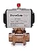 DynaQuip Controls - PVA68AMS064A - 2 Spring Return Pneumatic Actuated Ball Valve, 3-Piece