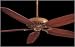  : Ceiling Fan with Five Blades