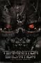 (24x36) Terminator Salvation Movie (Face) Poster Print