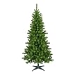 Canadian Fir Tree - 6'