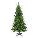 Canadian Fir Tree - 6'