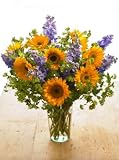 Sunflower Delight