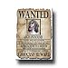 Afghan Hound Wanted Fridge Magnet No 2