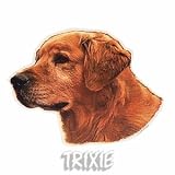 Eigenschaften Trixie  / Aufkl. Golden Retriever, (K)