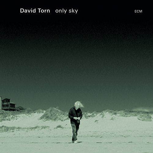 David Torn - Only Sky - Zortam Music