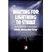 Waiting for Lightning to Strike: The Fundamentals of Black Politics