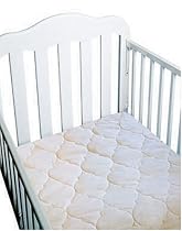 Snoozy Organic Cotton Wtrprf Crib Mattress Pad