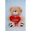 15" (38cm) Golden Brown Teddy Bear Holding a Red heart with "I Love You" inscribed on it