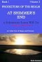 At Shimmer's End: Volume 3: A Substitute Lover Will Do (Protectors of the Realm)