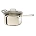 Emeril Stainless Steel 4-Quart Sauce Pan with Pour Spouts and Lid