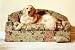 Spring Bouquet Chaise Lounge (Size Large)