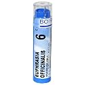 Boiron Homeopathic Medicine Euphrasia Officinalis, 6C Pellets, 80-Count Tubes (Pack of 5)