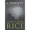 Hauntingly beautiful gay novels you must read