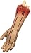 Rubies Costume Haunted Home Décor Body Parts, Cut Off Arm