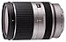 TAMRON&nbsp;18-200����&nbsp;F3.5-6.3&nbsp;Di3&nbsp;VC&nbsp;�V���o�[&nbsp;�\�j�[&nbsp;NEX�p&nbsp;B011SE&nbsp;�V���o�[