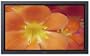 Sony FWD50PX2/B 50-Inch Plasma TV Black