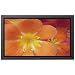 Sony FWD50PX2/B 50-Inch Plasma TV Black