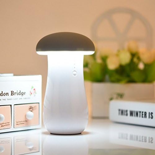 8000mAh Power Bank Charger with USB Lamps, Portable External Power Bank Battery Charger Pack with LED Desk Lamp Light for iPhone 6s Plus SE (Gray with White)