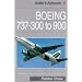 Boeing 737: From the -300 to the -900 (Airlife's Airliners)