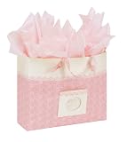 C.R. Gibson Embellished Gift Bag, Hannah, Large