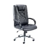 Churchill Leather Chair