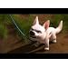 Product Video: Bolt-Trailer