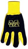 Michigan University Wolverines Knit College Logo Glove